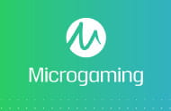 Das erste Online Casino von Microgaming